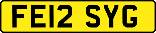 FE12SYG