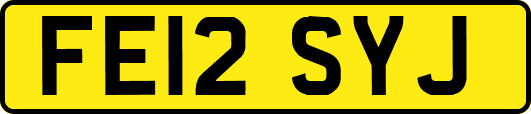 FE12SYJ