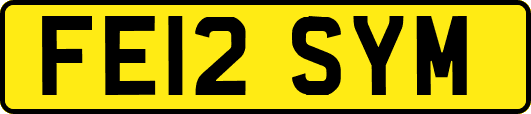 FE12SYM