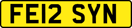 FE12SYN