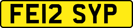 FE12SYP