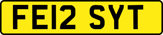 FE12SYT