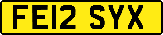 FE12SYX