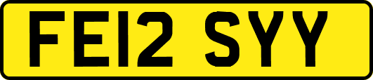 FE12SYY