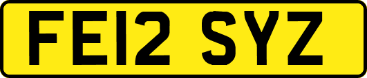 FE12SYZ