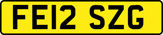 FE12SZG