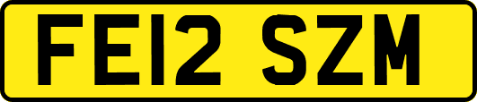 FE12SZM