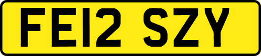 FE12SZY