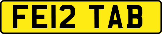 FE12TAB