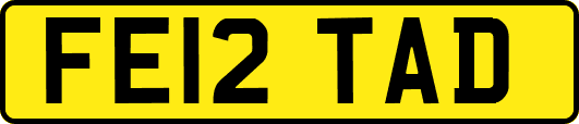 FE12TAD