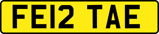 FE12TAE