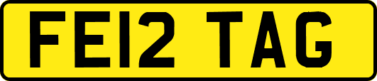 FE12TAG