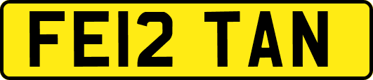 FE12TAN