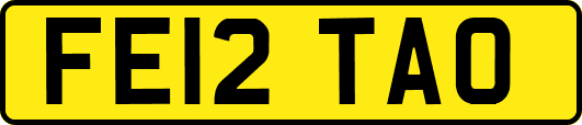 FE12TAO