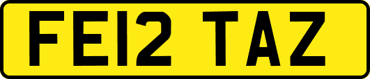 FE12TAZ