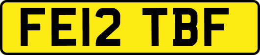 FE12TBF