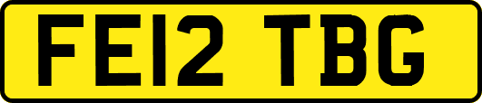 FE12TBG