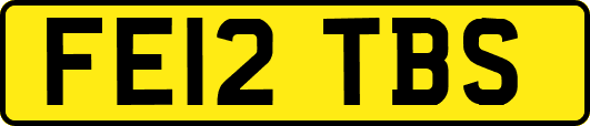 FE12TBS