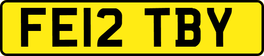 FE12TBY