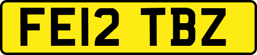 FE12TBZ