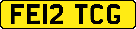 FE12TCG
