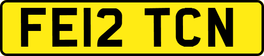 FE12TCN
