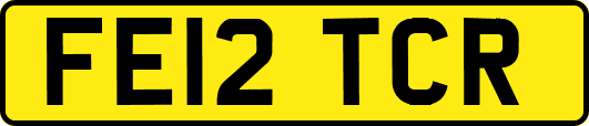 FE12TCR