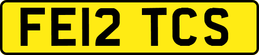 FE12TCS