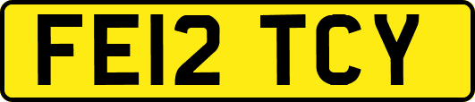 FE12TCY