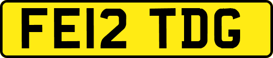 FE12TDG