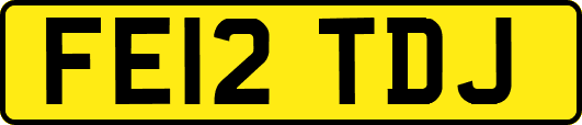 FE12TDJ