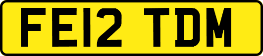 FE12TDM