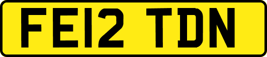 FE12TDN