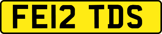 FE12TDS
