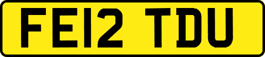 FE12TDU