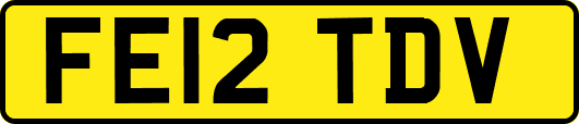 FE12TDV