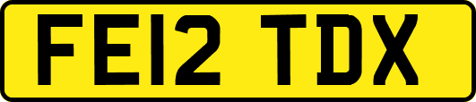 FE12TDX