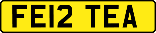 FE12TEA