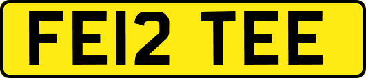 FE12TEE