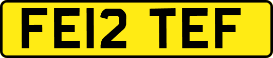 FE12TEF