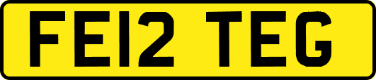 FE12TEG