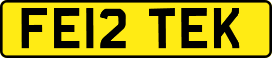FE12TEK