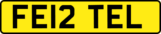 FE12TEL