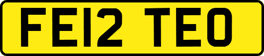 FE12TEO