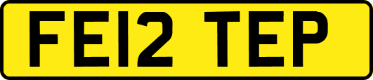 FE12TEP