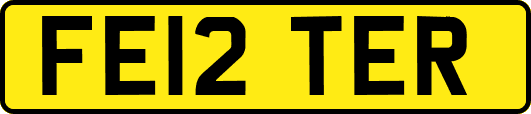 FE12TER