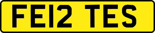 FE12TES