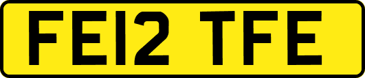 FE12TFE