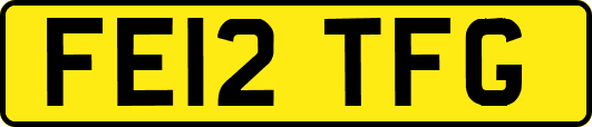 FE12TFG