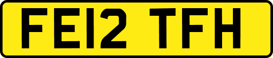 FE12TFH